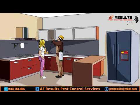 affordable pest removal