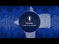 The ECB Podcast - The euro: a tale of two decades