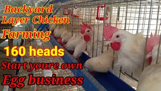 Layer chicken business