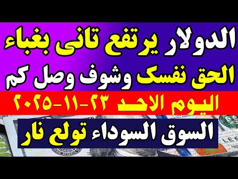 اسعار الدولار في البنوك المصرية اسعار الدولار والعملات في البنوك اليوم الاحد 2025 11 23 في مصر