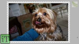 How to Make A Border for an Image - Photoshop