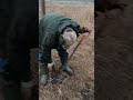бомба