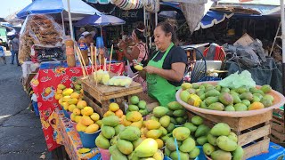 Un pequeño recorrido por Altamirano Guerrero 