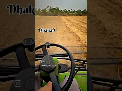5 मार्च 2025