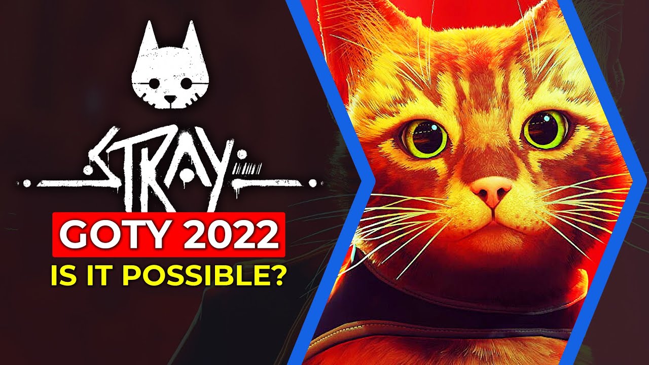 This is why the cat game Stray is getting all of the hype - SoyaCincau