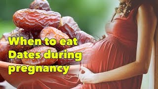 When To Eat Dates During Pregnancy- SheCare