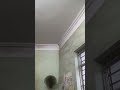 Vũ Anh Tân Officall 🔰 đang phát trực tiếp!