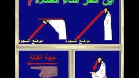القارئ سعيد دباح مقطع جميل من سورة الانعام    2014 - 1435هـ