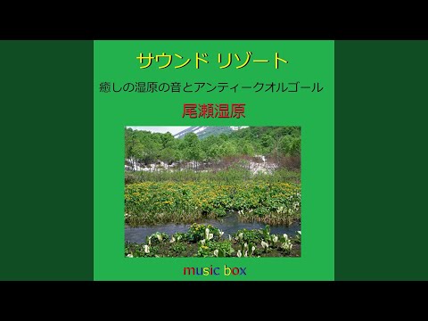 Obejrzyj ORION （尾瀬湿原とアンティークオルゴール） w YouTube