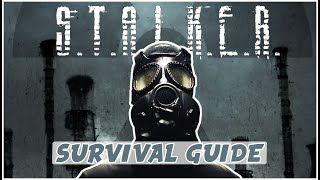 So you want to play Ironman? A STALKER Anomaly Survival guide screenshot 4