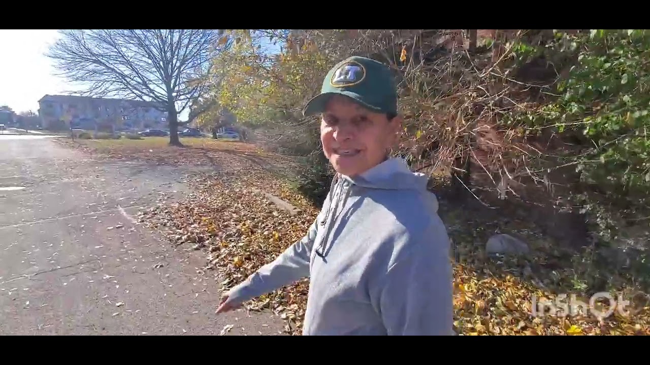 A morning walk in our Morto Grovr neighborhood. 