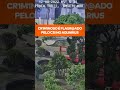 #shorts CR1M1NOSO É PEGO NO JD. AQUARIUS
