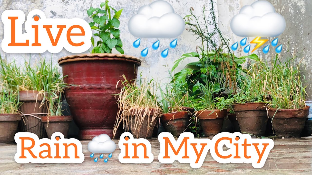 Rain in My City Rain in Punjab rain beautiful Weather Live Rain