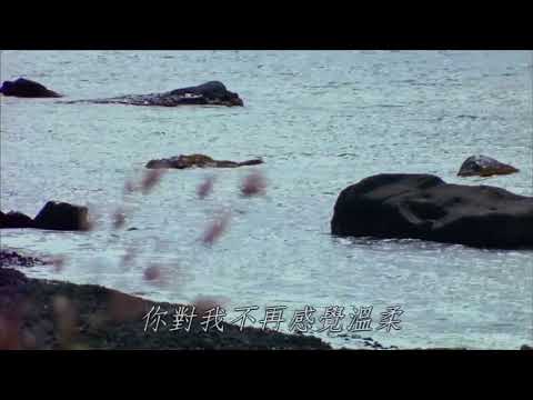 就在今夜