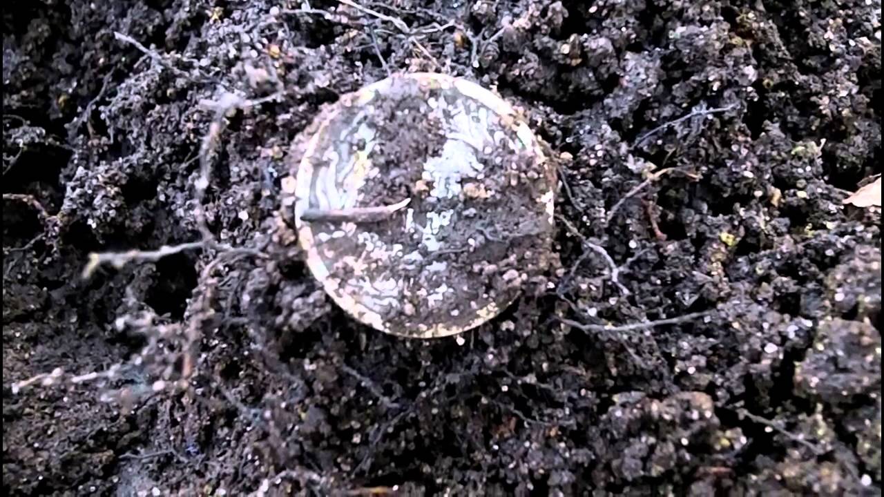 Metal Detecting Wisconsin Season 6 Episode 1 YouTube