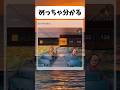 めっちゃ分かるw#おもしろ #おすすめ #shorts