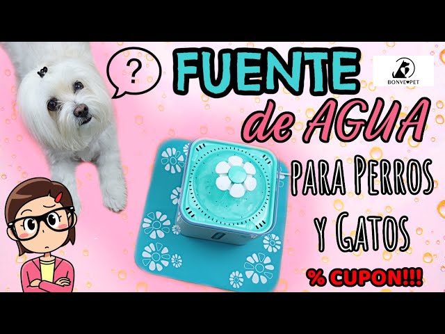 UNBOXING Fuente de Agua para Perros y Gatos, BONVE PET, Coton de Tulear,  Descuento I Lorentix 