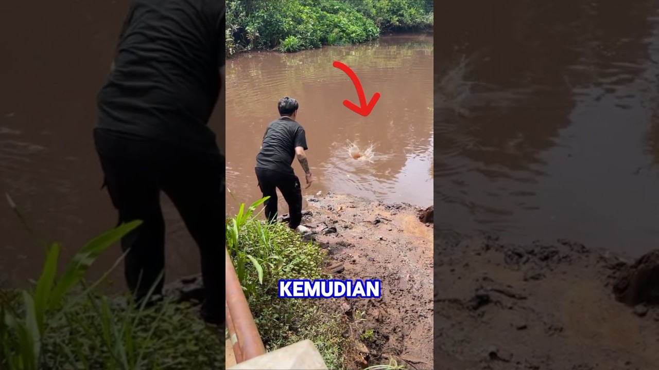 Still water predators lurk! 