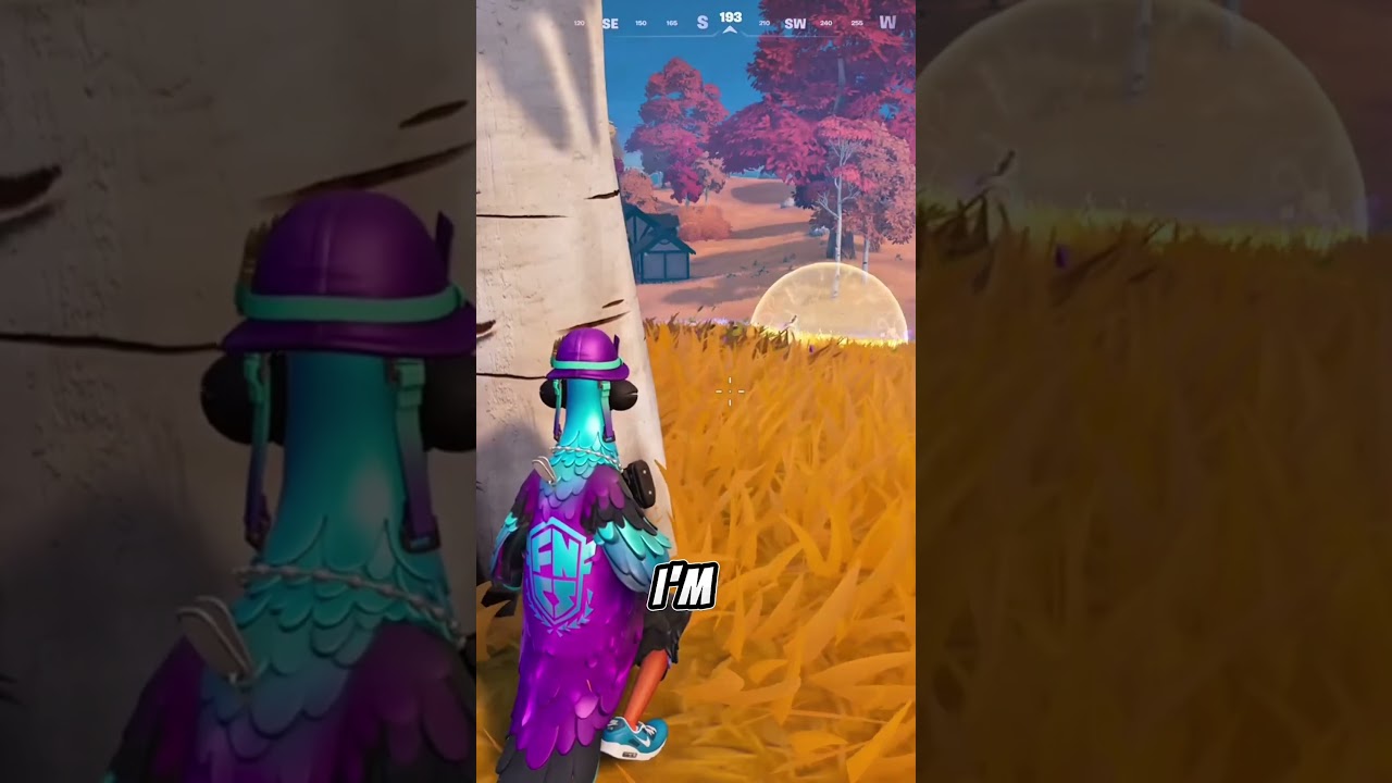 Bro moved the tree 🤣 