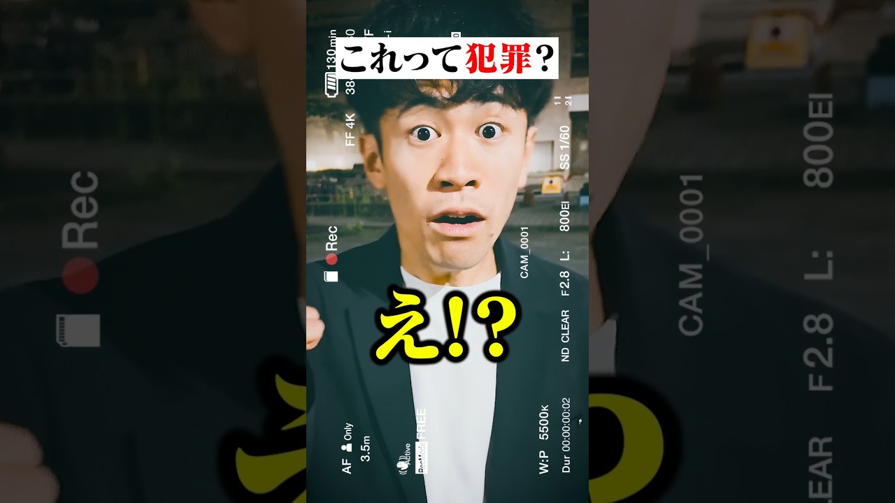 正義のヒーロー?悪の犯罪者?