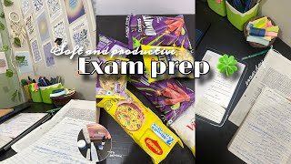 Soft & productive exam prep 🍀✨ || exam study vlog || Studyshee 🦢 screenshot 3