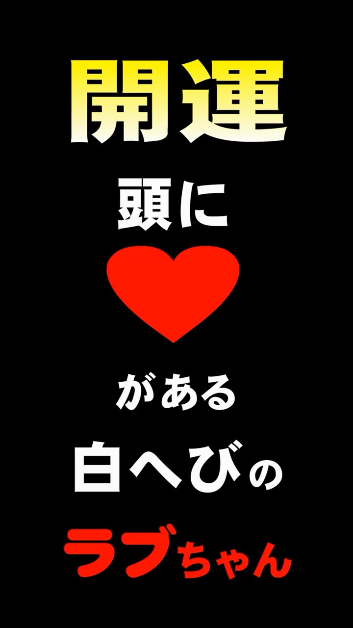 開運】頭にハートがある白へびのラブちゃん #白蛇 #ラブちゃん #開運