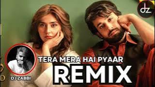 Tera Mera Hai Pyaar Amar (Dz Original Mix) | Dj Zabbi 2024 Remix #dz