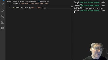 String Functions and Methods - the replace method