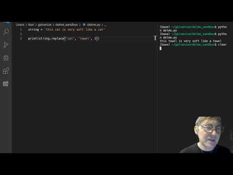 String Functions and Methods - the replace method