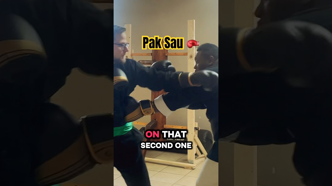 Lion Martial Arts Academy