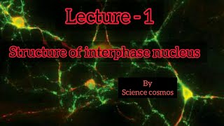 Lecture - 1 Interphase Nucleus