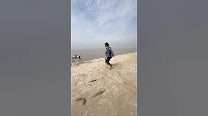 Big Catfish Bait Throwing Method By Hook 2  #fishinglife  #bait