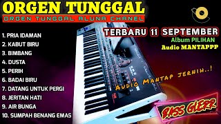 ORGEN TUNGGAL DANGDUT ELECTONE TERBARU KORG PA4X 2024 CEK SOUND BASS GLER COVER(ALUNA CHANEL)