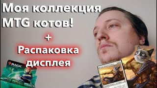 МТГ Коллекция котов + Распаковка дисплея Война искры MTG wincondition Collection Opening МТГ Коллекция котов + Распаковка дисплея Война искры MTG wincondition Collection Opening