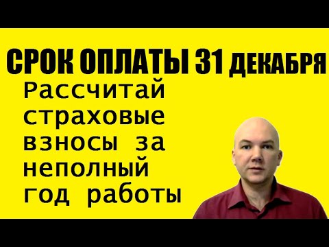 Оплата страховых взносов
