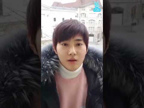 스위스한 수호