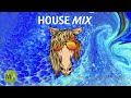 Upbeat Study Music House Mix - Peak Focus Beta Wave Isochronic Tones Mp3 Song