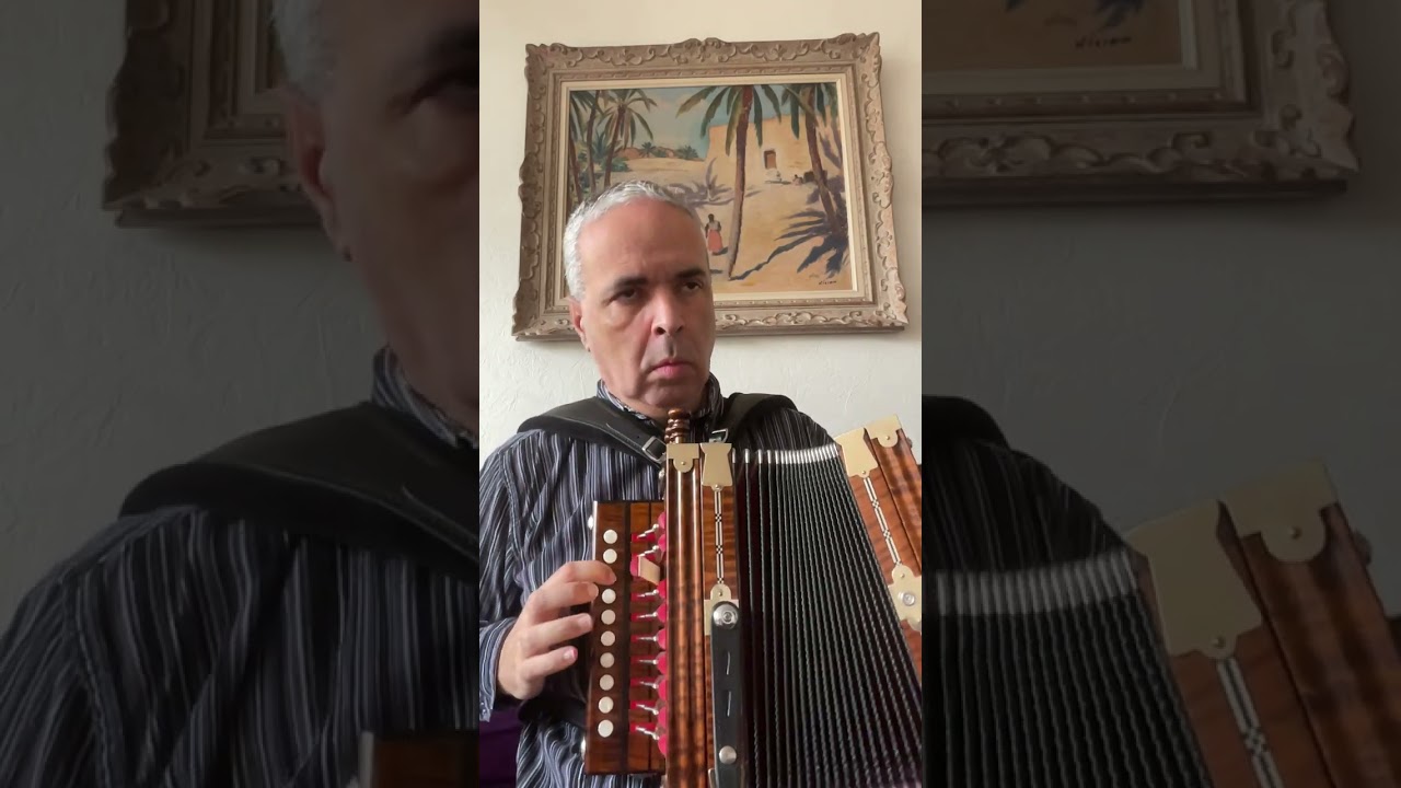 N. Lygeros: John McGovern’s with internal ornament. (Cajun Accordion Martin). 