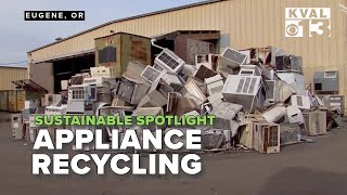 Sustainable Spotlight: Appliance Recycling