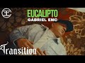 Gabriel emc  eucalipto official music   transition 
