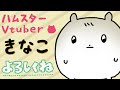 【自己紹介】ハムスターVtuberです【きなこです】