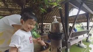 VR180 3D 4K 50FPS Makan di Talaga Sampireun Bintaro | Lunch at Talaga Sampireun Bintaro