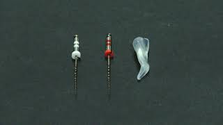 VS FLEXI DPS endo file dentin preservation set