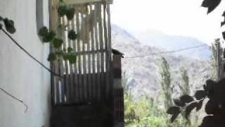 Tabiat Belgeseli 1 Kara Karga