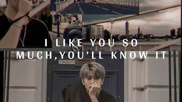 i like you so much, you