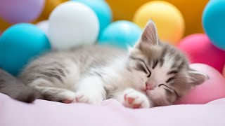 Calming Music for Anxious Cats - Cat Music for Deep Relaxation and Sleep, Music For Cats