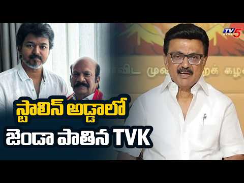 స్టాలిన్ అడ్డాలో జెండా పాతిన TVK | TVK VS Babu Defeats Stalin At Kolathur || TV5 News - TV5NEWS