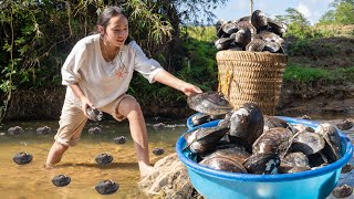 Harvesting GIANT CLAM, Harvesting GOLDEN SNAIL...Goes To The Market Sell - Making garden \/ Cooking