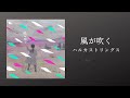 ハルカストリングス Haruka Strings - 風が吹く/ Blowing Wind (Official Lyric Video)