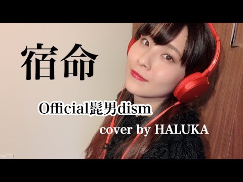 宿命 / official髭男dism 【cover by HALUKA】カバー